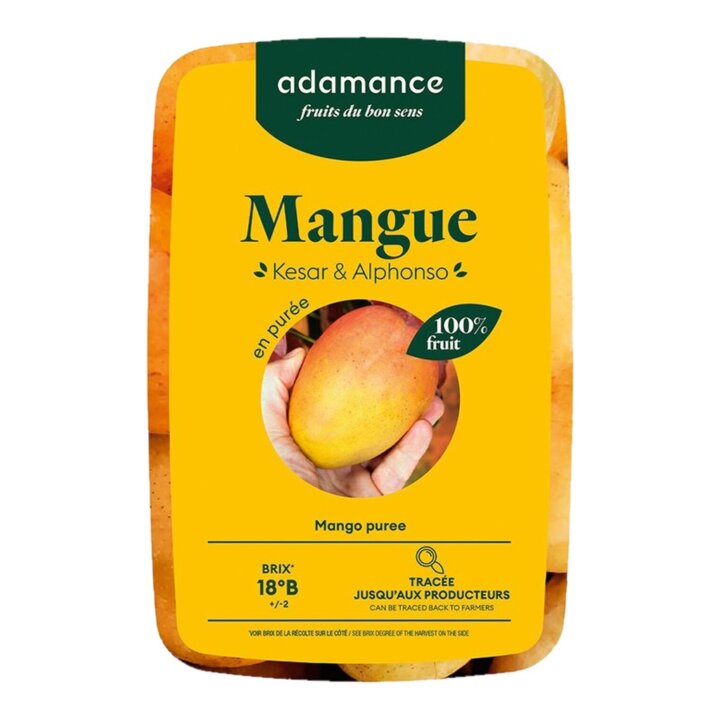 Purée de Mangue 1kg